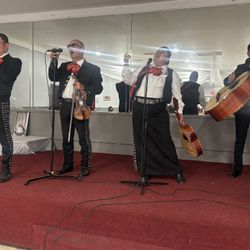 Trompeta Instrumentos De Mariachi 