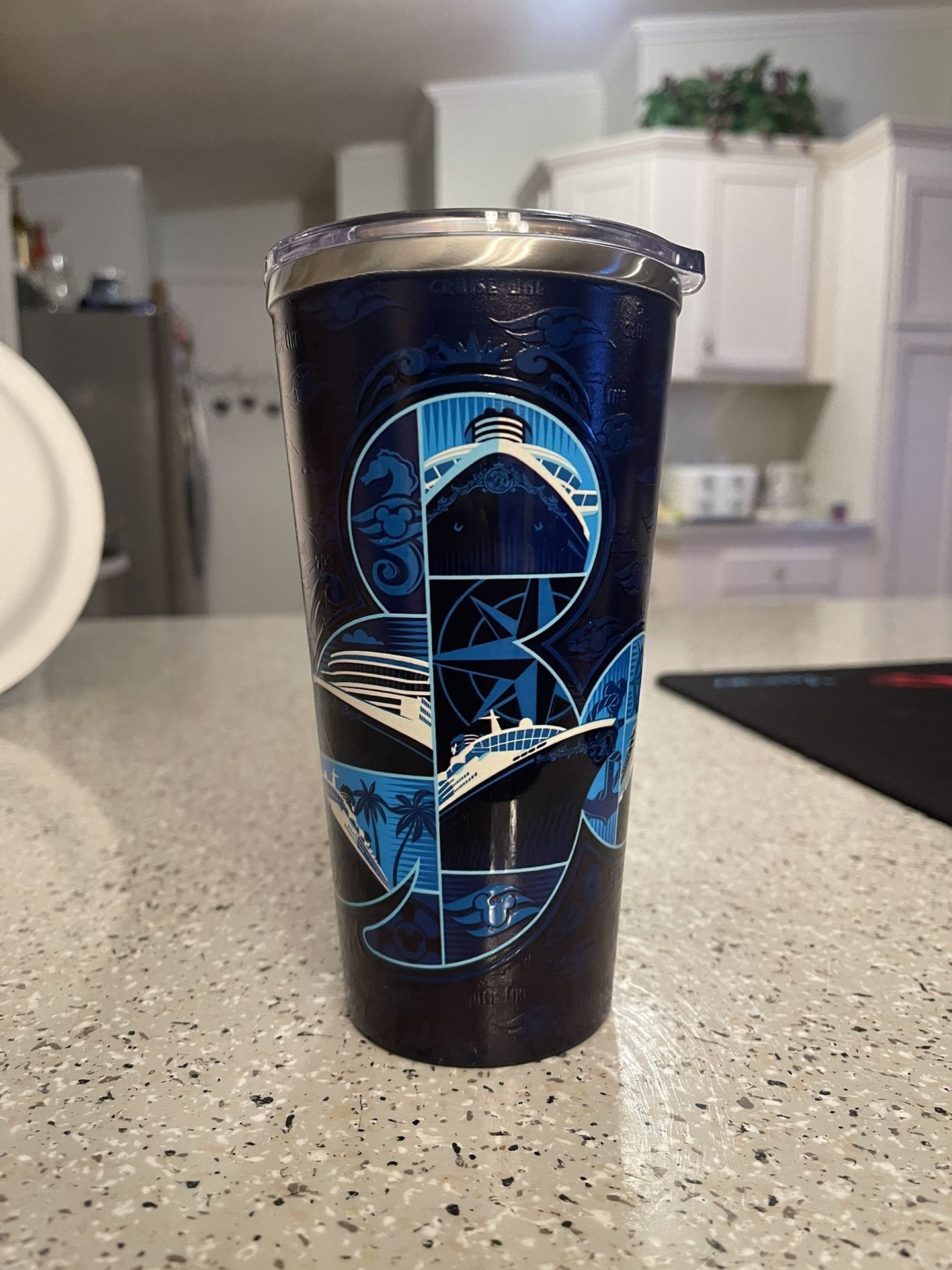 Disney Cruise Line DCL 25th Silver Anniversary at Sea Tumbler Cup Ships Wish