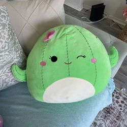 squishmallows Large 