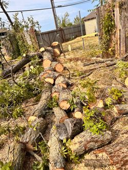 FREE WOOD