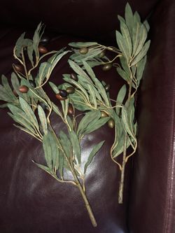 Two artificial olive branches- green and calamata