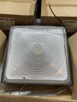 LED Canopy light