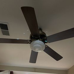 Fan