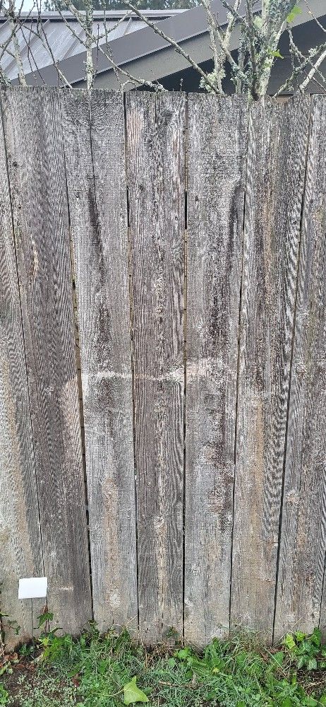 Free Cedar Fence Boards/panels - Grab Them Free!