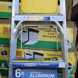 Brand New 6ft Ladder 