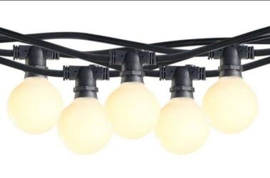 Bulbrite Outdoor/Indoor 14 ft. Plug-in G16 Incandescent Black String Light with Clear Bulbs Included 10 Sockets