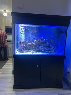 110 gal salt water tank