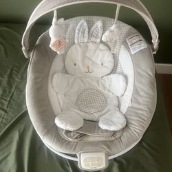 Baby Ingenuity Rocker