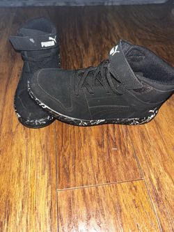 Puma 3.5
