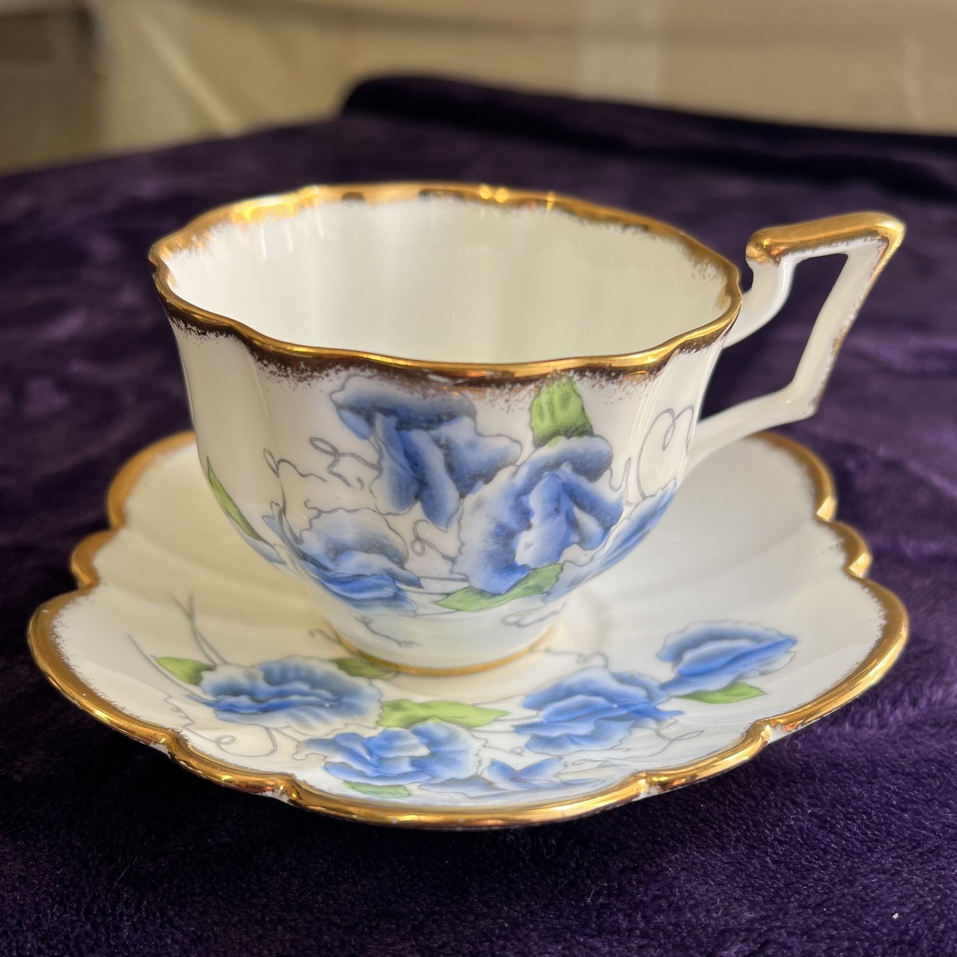 Salisbury Fine Bone China Tea Cup & Saucer