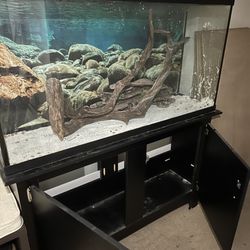 Fish Tanks / Tanks 