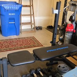 Pro Form Weightlifting Bench