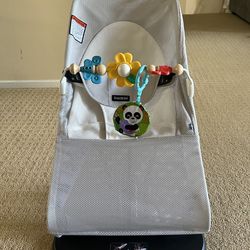 Baby Bjorn Bouncer