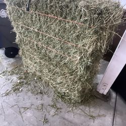 Hay Stack 