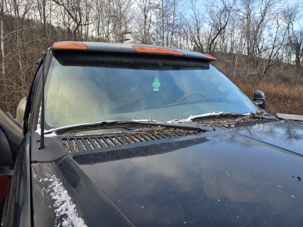 Lund Factory Ford Visor 99-16 Ford Superduty