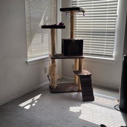 **FREE** Cat Condo