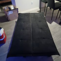 Fold Out Guests Couch And Sleeper