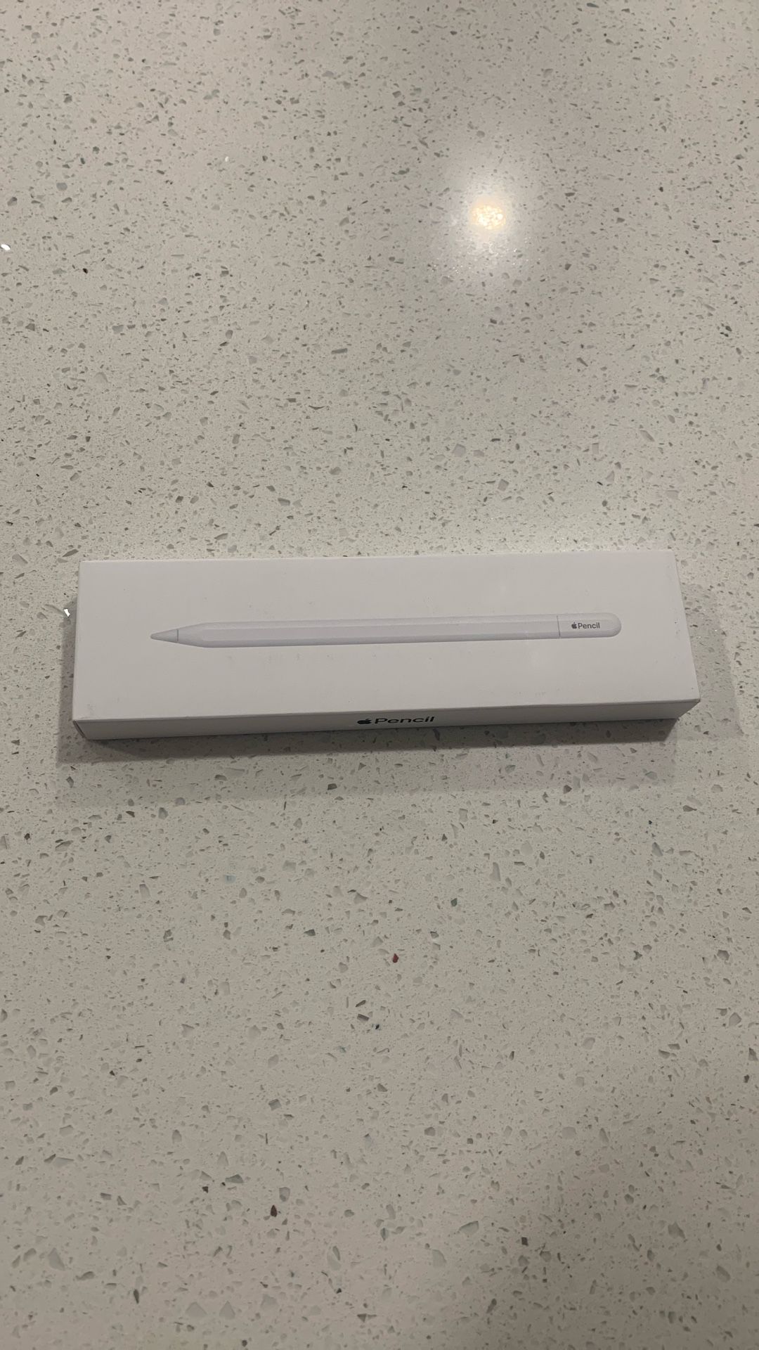 Apple Pencil ( USB-C )