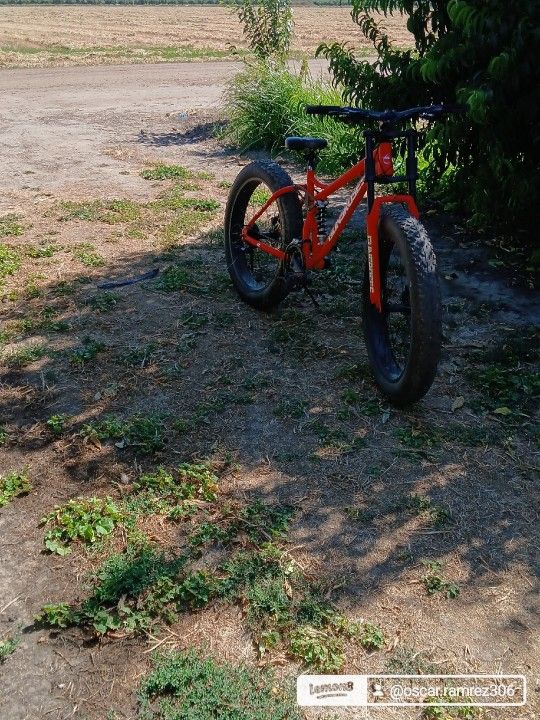 Bike GUNSROSE