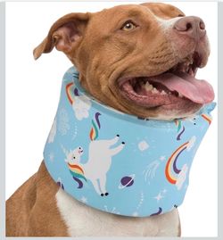 LovinPet Dog.collar post-surgery