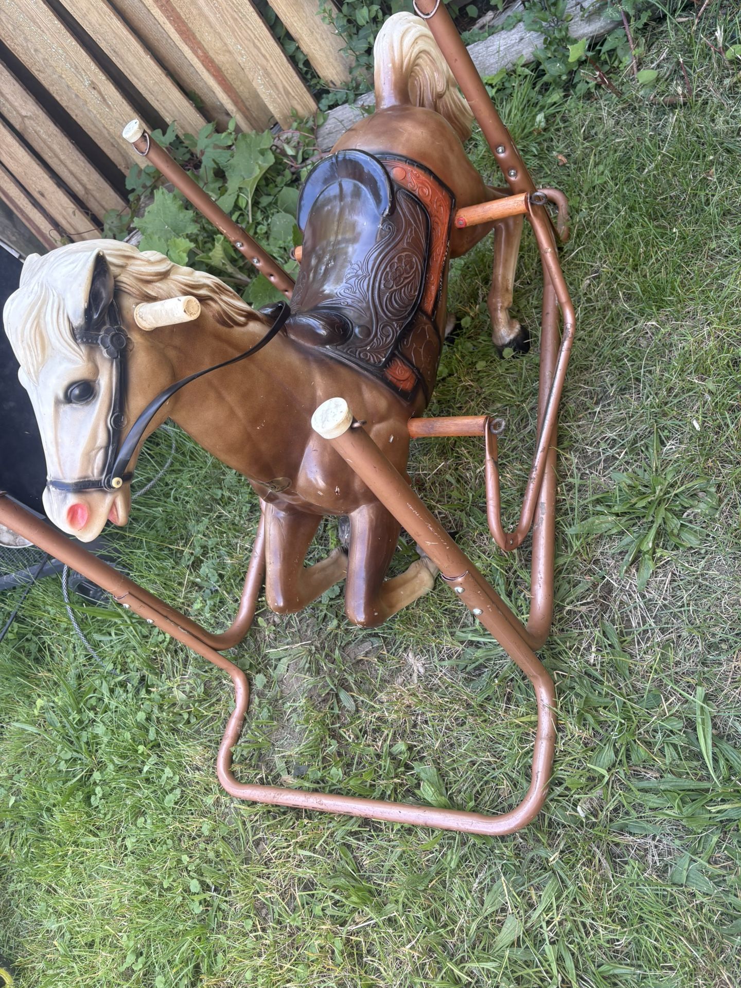 Wonder Horse