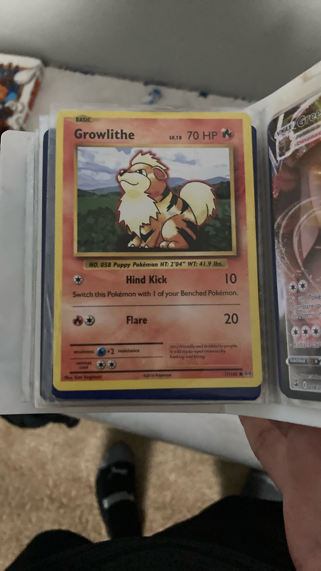 Growlithe 2016 Pokémon