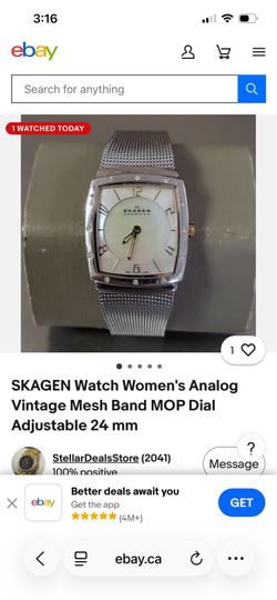 Beautiful Skagen Ladies Watch