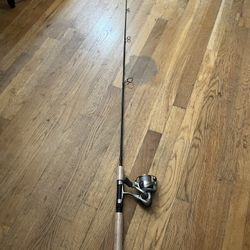 Fishing Rod And Reel 