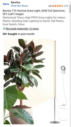 Barring Standing Plant Light