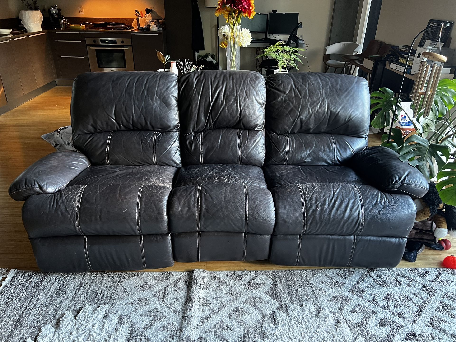 Free Leather Couch, Power Recline