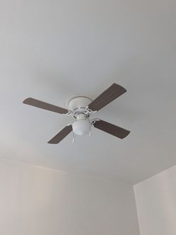 Ceiling fan