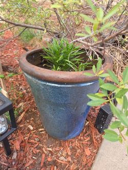 Two Ceramic Planter Pots