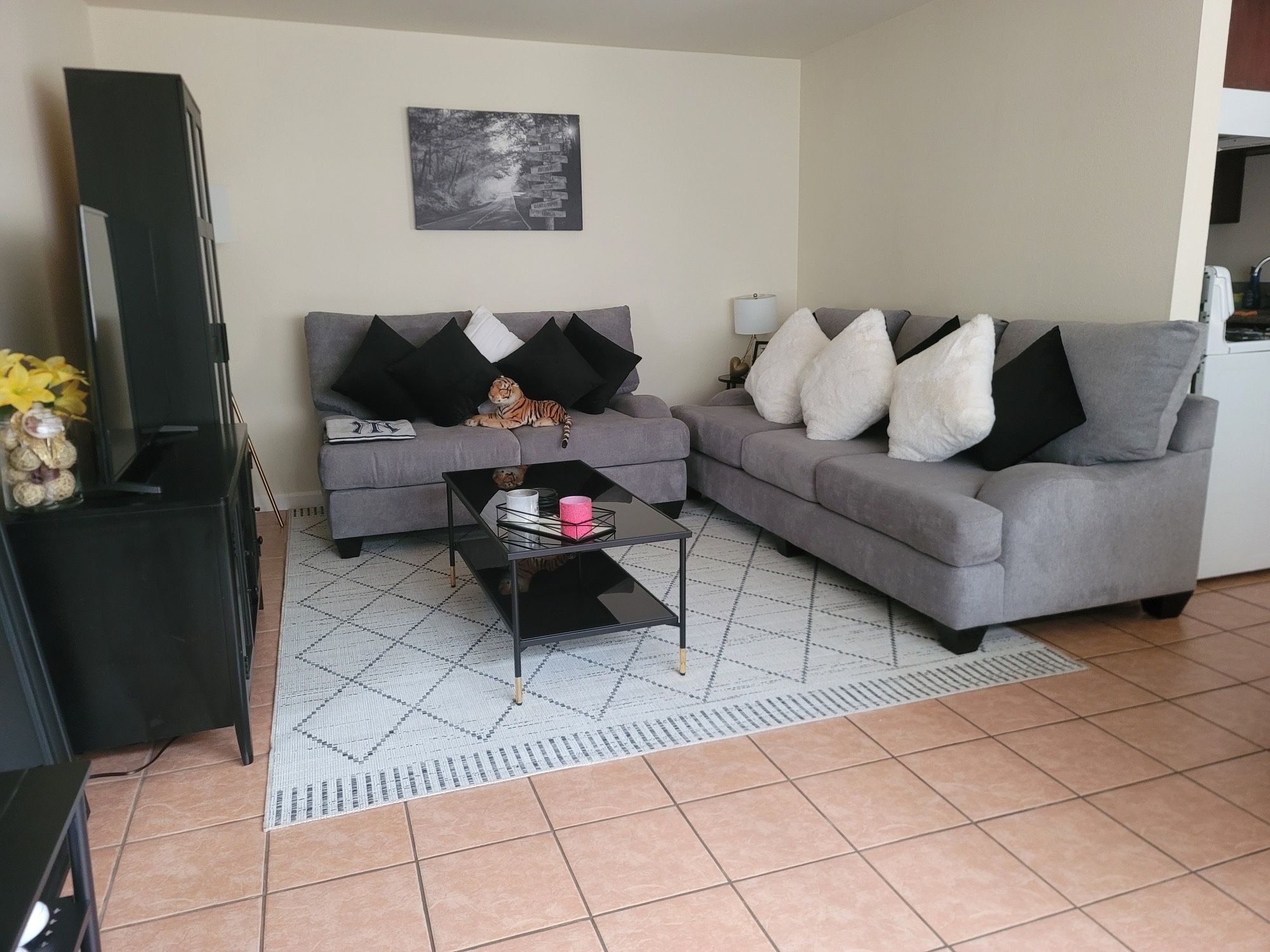 Gray Couches