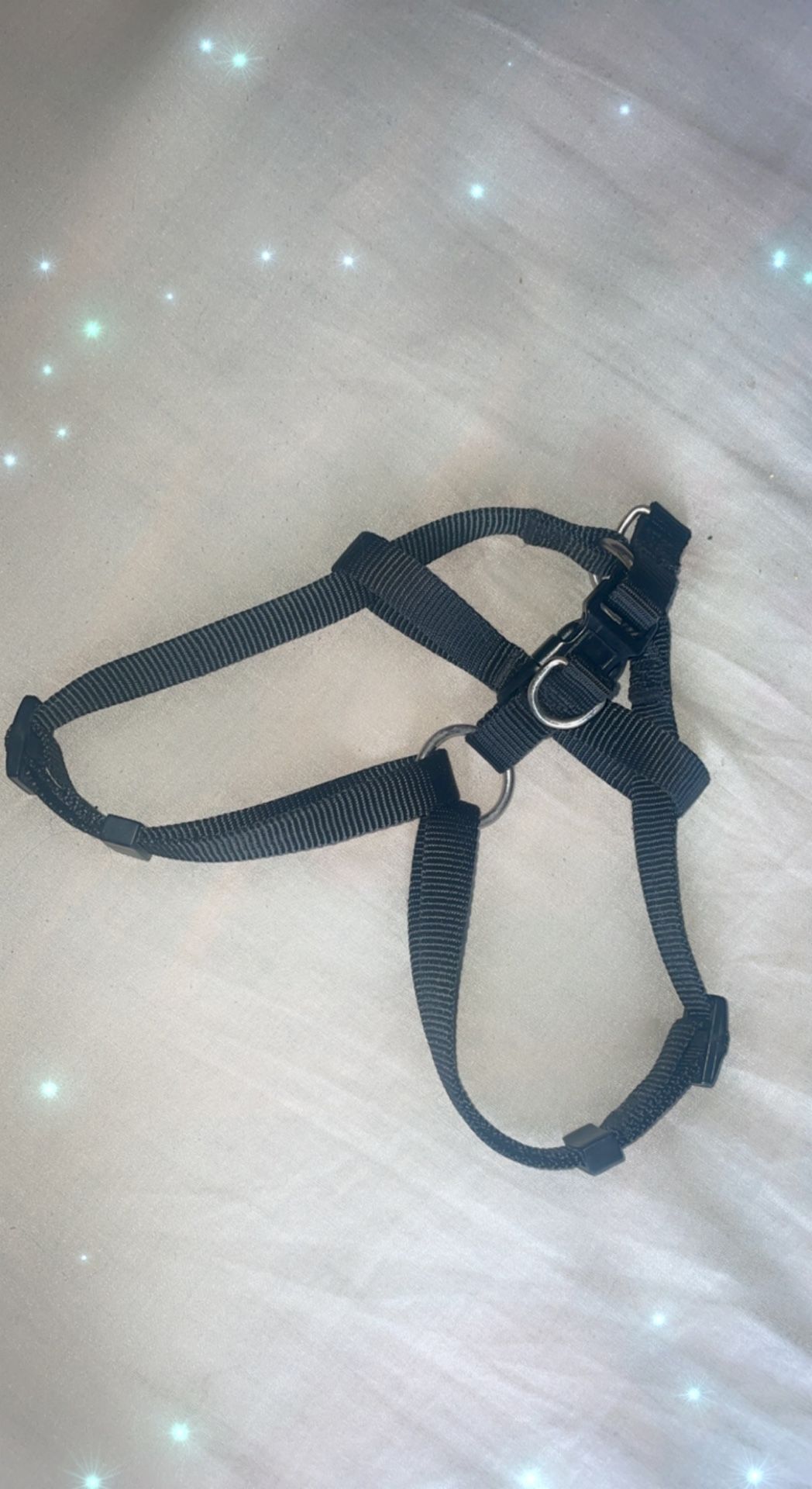 Black Dog harness size (M)