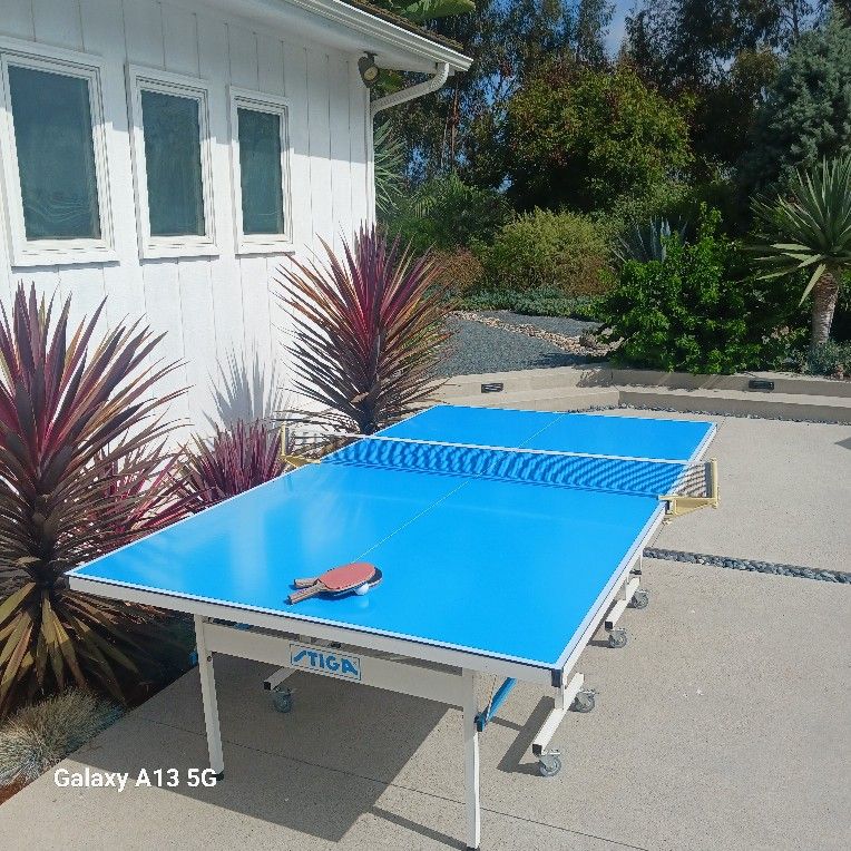 Ping Pong Table