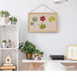 Cork Bullet Board 16 by 11 In.