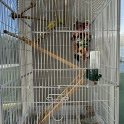 Bird Cage- $250 With EVERYTHING Inside 🦜