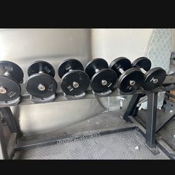 Dumbbells With Rack 