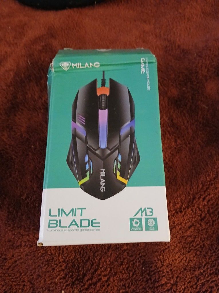 Computer Mouse