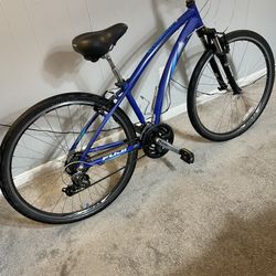 Fuji Crossroads 1.3 Bike
