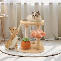 Cat Scratching Post - new