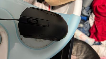 Mouse