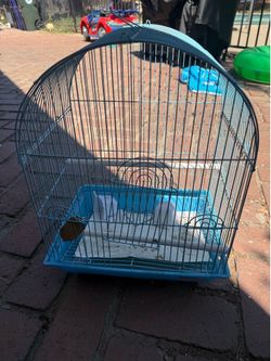 Bird cage