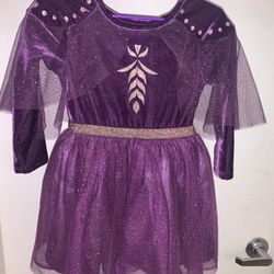 Girls Purple Velvet And Gold  Size 4 Disney Frozen 2 Anna Dress 