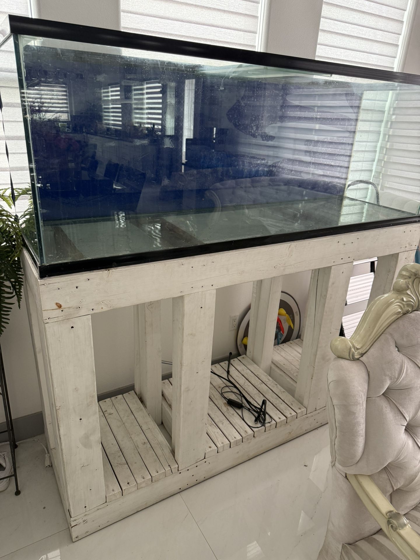 150 Gallon fish tank 
