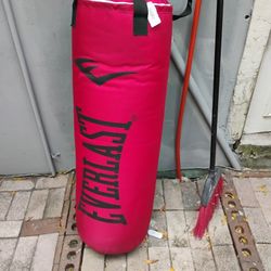 Everlast Punching Bag