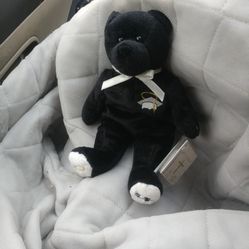 Graduation "Holy Bear"