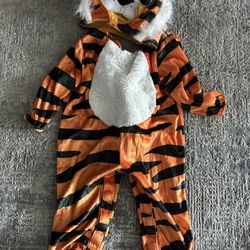 Baby tiger Outfit