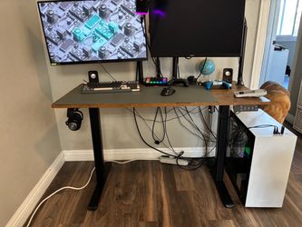 Electric Standing Desk – Height Adjustable 24x48