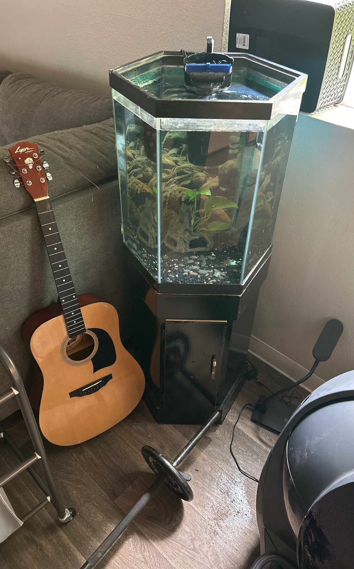 Vintage Octagon Fish Tank